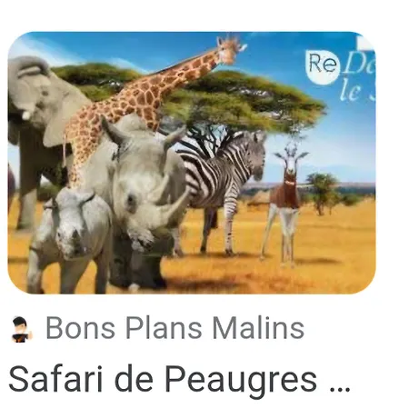 Nyaraló Le Duo Du Gorille *