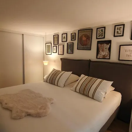 Le Duo Du Gorille Casa vacanze *